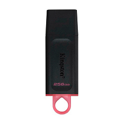 USB-флешка Kingston DataTraveler Exodia 256 ГБ чёрно-розовый