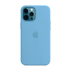 Клип-кейс (накладка) Silicone Case для Apple iPhone 12 Pro Max силикон, голубой
