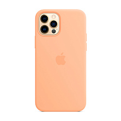 Клип-кейс (накладка) Silicone Case для Apple iPhone 12 / 12 Pro силикон, пудровый