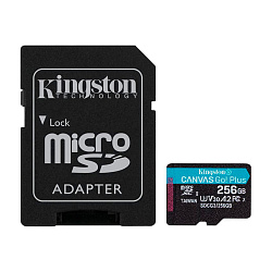 Карта памяти Kingston Canvas Go, 256 ГБ