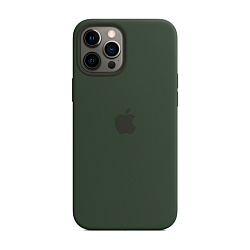 Клип-кейс (накладка) Silicone Case для Apple iPhone 12 Pro Max силикон, "зелёная сосна"