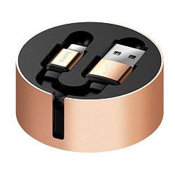 Дата-кабель Hoco U23 Lightning 1 м, чёрный с золотым