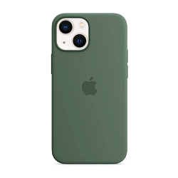 Клип-кейс (накладка) Silicone Case для Apple iPhone 13 силикон, серо-зелёный