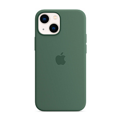 Клип-кейс (накладка) Apple Silicone Case MagSafe для Apple iPhone 13 Mini силикон, Eucalyptus