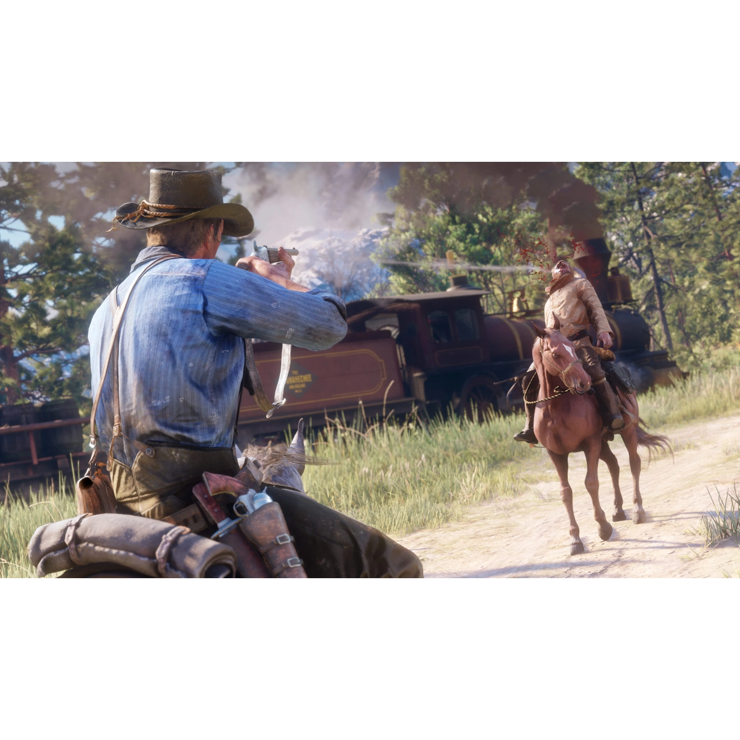 Игра для Xbox Red Dead Redemption 2 - 4