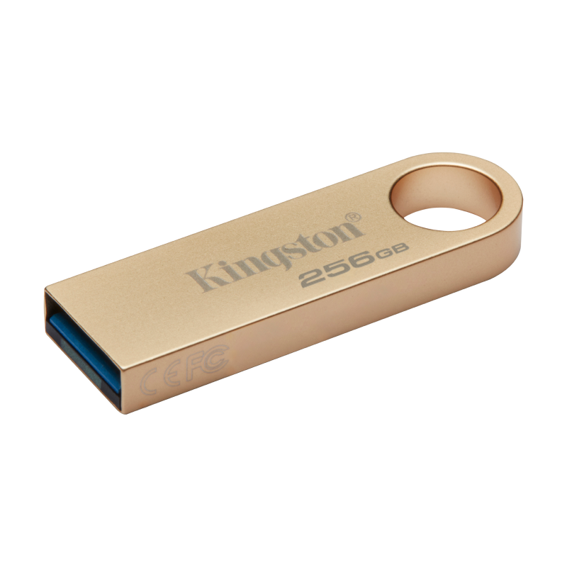 USB-флешка Kingston DataTraveler SE9 G3 256 ГБ - 2