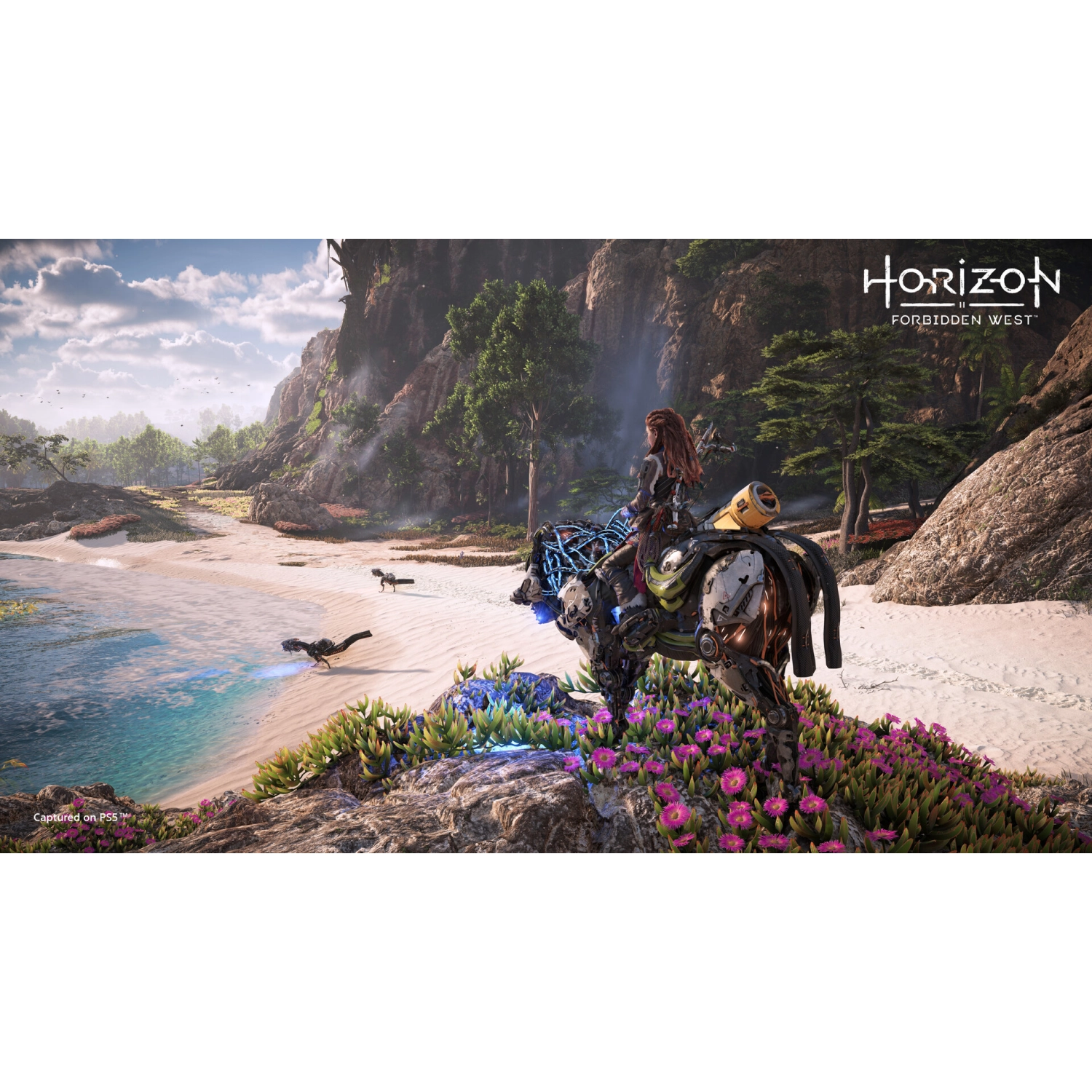 Игра для PS5 Horizon Запретный Запад - 6