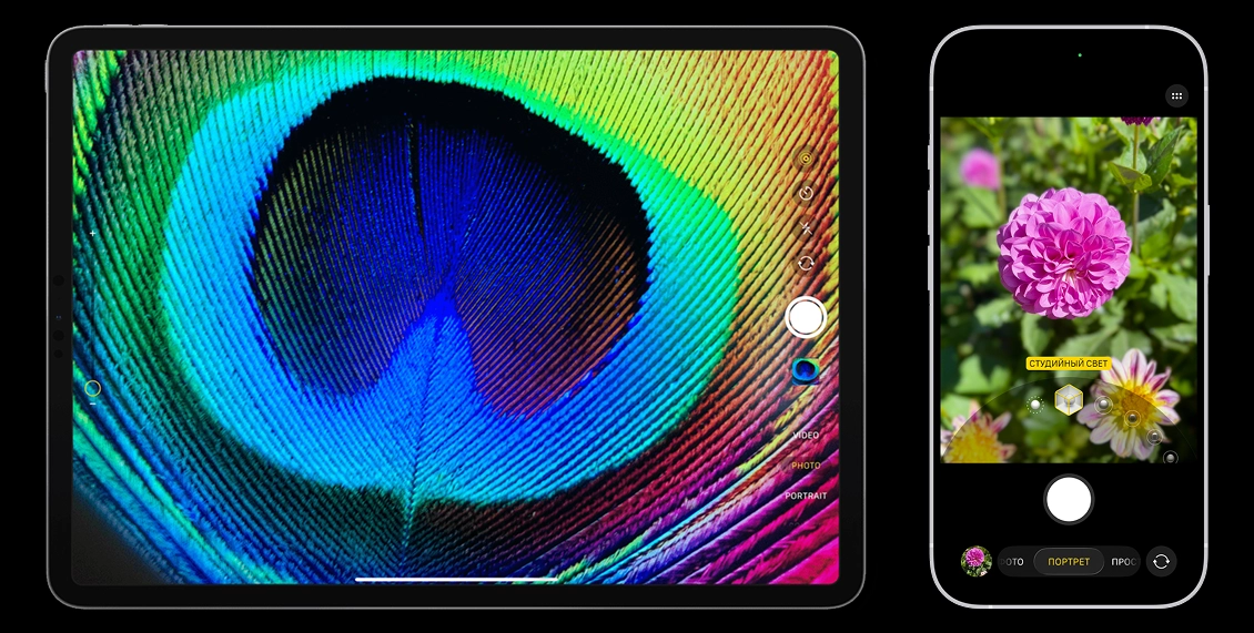 статья фото 1.webp