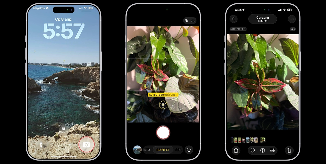 статья фото 4.webp