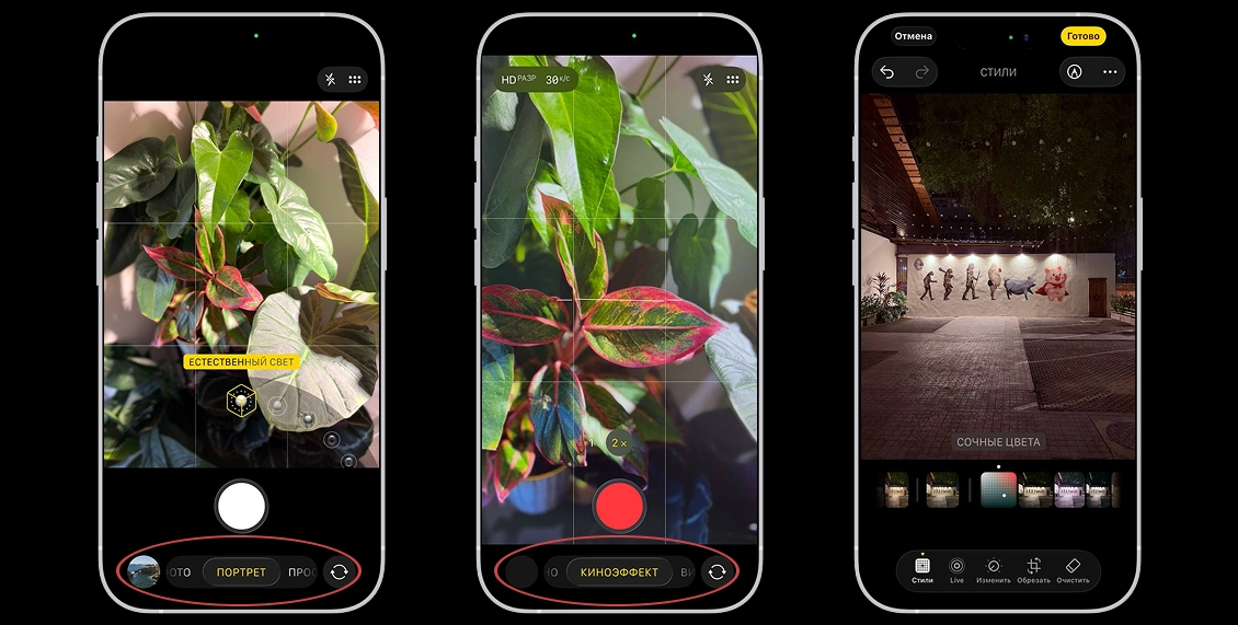 статья фото 9.webp