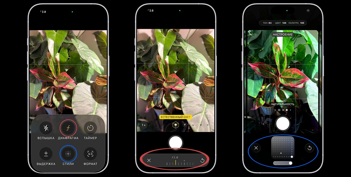 статья фото 5.webp