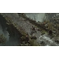Игра для Xbox Diablo IV (оформление на учётную запись) - 5