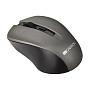 Мышь беспроводная Canyon Wireless Mouse MW-1