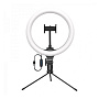 Трипод-кольцевая лампа для селфи Baseus Live Stream