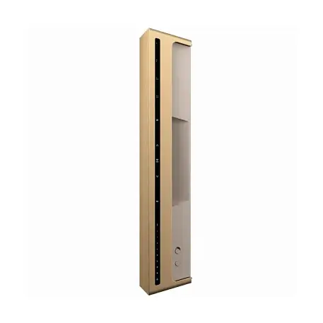 Портативная акустическая система Bang & Olufsen Beosound Level - 3