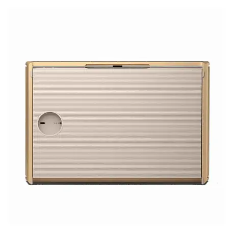 Портативная акустическая система Bang & Olufsen Beosound Level - 5