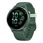 Умные часы Garmin Vivoactive 6