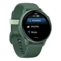 Умные часы Garmin Vivoactive 6