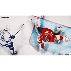 Игра для PS5 NHL® 26