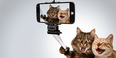 Снимаем на смартфон: советы, которые помогут улучшить качество мобильной фотографии