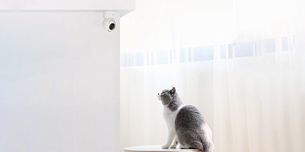 Топ-5 гаджетов для дома, где есть питомцы