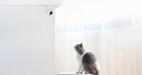 Топ-5 гаджетов для дома, где есть питомцы