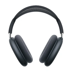 Беспроводные наушники Apple AirPods Max (Type-C) "тёмная ночь" (MWW43)