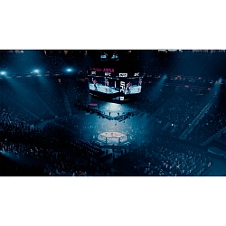 Игра для PS5 UFC 5 (оформление на учётную запись)