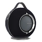 Портативная акустическая система Devialet Mania чёрный