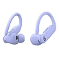 Беспроводные наушники Beats Powerbeats Pro 2