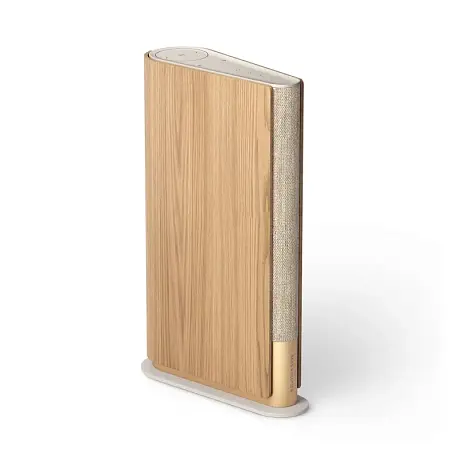 Акустическая система Bang & Olufsen Beosound Emerge - 2