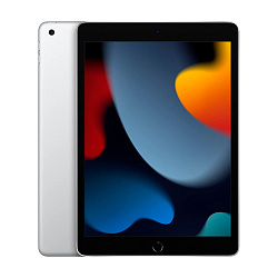 Планшет Apple iPad 10.2" (2021) A13 Bionic Wi-Fi 256 ГБ серебристый (MK2P3)