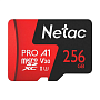Карта памяти Netac P500 Extreme Pro, 256 ГБ